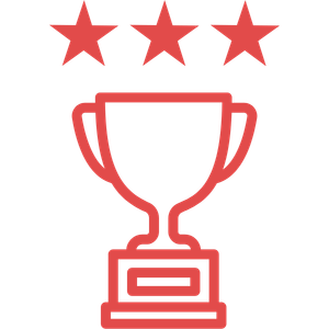 プロ格闘技3冠チャンピオン